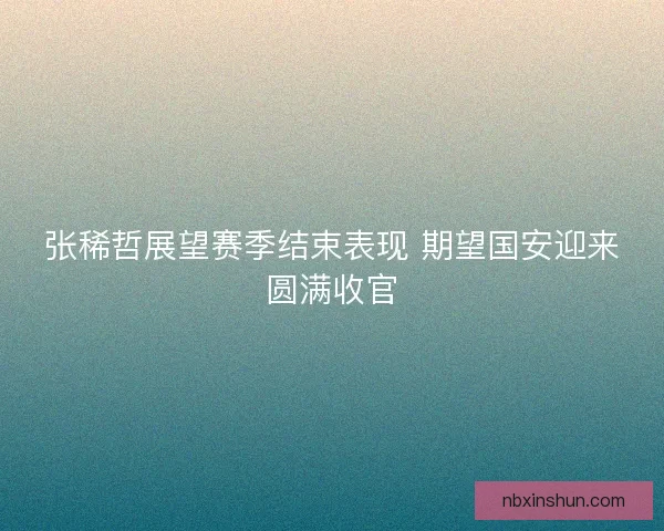 张稀哲展望赛季结束表现 期望国安迎来圆满收官